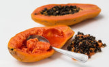 papayer solo -Jardins du Sénégal 